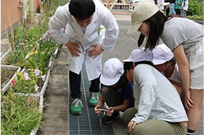 ワークショップ風景